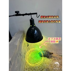 蛋叔叔 NOMO落地燈架/燈座/吊燈/燈罩配件/熱點/設缸/調整燈架, S-高40~64cm