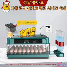 BTWY 스마트 자동 인큐베이터 정확한 온도 제어 자동 급수 세척 용이 LED 디스플레이 가정용 미니 병아리 부화기, 이중 전기 - 6개의 대형 신형 모델