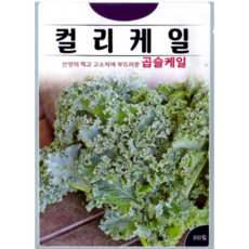 KS종묘 컬리케일 씨앗 300립 곱슬케일 드워프 블루 스코치드 ks, 1개 1개