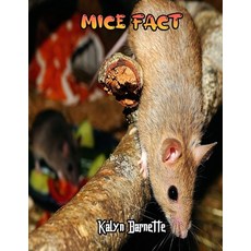 Mice Fact: MICE fact for girl age 1 10 MICE fact for boy age 1 10 facts about all about MICE Paperback, Independently Published, English, 9798710544686