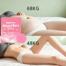 다이어트 패치 셀룰라이트 패치 붙이는 다이어트 패치 라이트밸런스 패치 라이트 독소제거 밸런스 패치 부유방 독소패치 무궁화 다이어트 패치독소제거 밸런스 패치 슬림잇패치 30pcs, 29.99개입, 1개