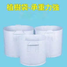 無紡布種植袋，承重力強，環保材質，育苗，園藝，移植, 1個, 有手提美植袋30*25