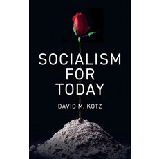 (영문도서) Socialism for Today: Escaping the Cruelties of Capitalism Paperback, Polity Press, English, 9781509561476