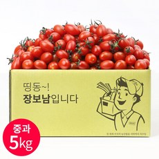장보남 탱글한 대추방울토마토, 1박스, 5kg(중과)