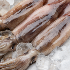 [핫딜특가] 완판폭주 원양산100% 대사이즈 손질통오징어, 1개, 640g 내외 (4미, 대)