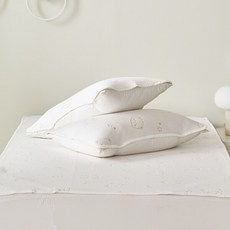 [애끌리아] 폴라베어 HR 3중직 밴딩 냉감 베개덮개 1장(50X70), 사이즈:폴라베어