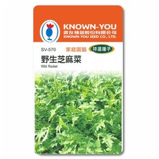農友種苗 KNOWN-YOU 家庭園藝 特選種子 野生芝麻菜，適合生菜沙拉、義大利料理，快速收成, 1個