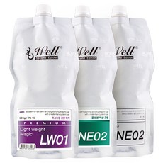 라샘 모웰 프리미엄 경량매직 1제2제 각 500g, 2제액상, 1개