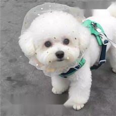 소형견 메쉬 입마개 핥음방지, 01.핥기 방지 입마개 1개, 1