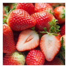 국내산 고당도 제철 햇 설향딸기 특과 500g 1팩 (18~25과내외)185273, 국내산 고당도 제철 햇 설향딸기 특과 500g 1팩 (