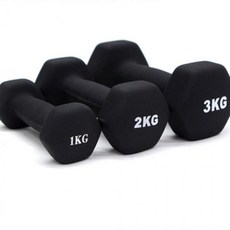 홈트 네오프렌 육각 아령 2kg 2개 세트 근력 운동