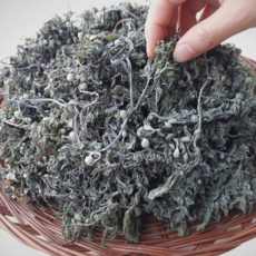 국내산 건 모자반 완도 마재기, 1개, 200g