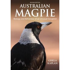 (영문도서)Australian Magpie: Biology and Behaviour of an Unusual Songbird Paperback, CSIRO Publishing, English, 9781486307241