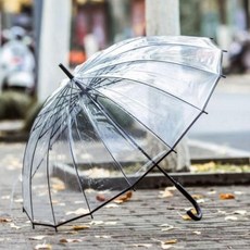 [아우트_63]튼튼한우산 아동 주니어 자동 비닐 장 우산