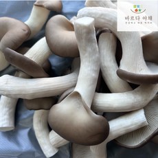 바르다야채 국내산 느타리버섯 특품, 1박스, 2kg