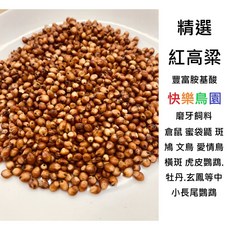 快樂鳥園 精選紅高粱 豐富胺基酸磨牙飼料 適用多種寵物鳥, 1個, 600g