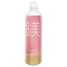 許維恩推薦 天然鎂100%海洋深層水850ml(20瓶/箱), 1套, 850ml
