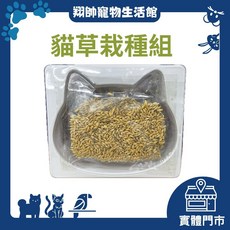 貓草栽種組 貓草可愛造型 小麥 大麥 黑麥 貓草種子 貓草種植, 1個, DIY可愛造型栽種組