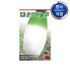 다농 춘강 하늘 무 씨앗 5G, 1개