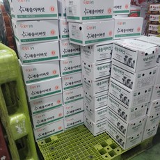 국내산 새송이버섯 400g 뿌리 미손질 신선버섯, 1개