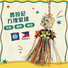 《嘟嘟鳥寵物》美國普拉尼Planet Pleasures 方塊星球，耐咬寵物玩具，安全無毒，狗狗互動益智玩具, 1個