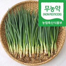 [프리미엄] 국내산 알싸한 무농약 김천 쪽파, 1개, 1kg