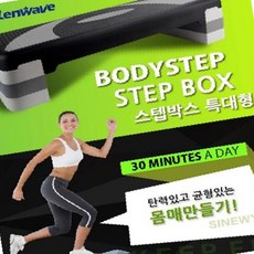 다이어트 런웨이브 스텝박스 대형 요가 헬스 휘트니스 유산소 운동기구