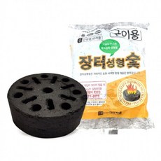 봄 나들이 고급 장터숯 착화탄 숯 체험학습 소풍 방학 여행, 성형착화탄 1개