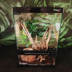 Petpetzone 多功能爬蟲玻璃缸，開門式設計方便整理，適合守宮樹蛙角蛙兩棲爬蟲, 1個, 透明