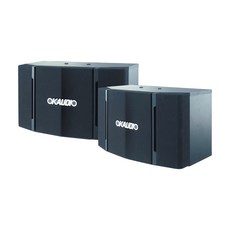 OKAUDIO 專業級歌唱喇叭 KTV懸吊喇叭, 黑, OK-503