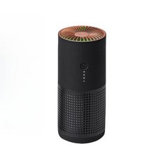음이온 휴대용 냄새 제거 포름알데히드 제거 자동차 공기 청정기와 새로운 자동차 USB 공기 청정기, Black