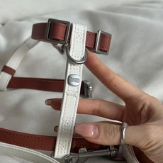 Omid 강아지 하네스 가슴줄 앞섬방지 H형 중형 소형견용 고양이 겸용 하네스, 브라운베이지 배색 (하네스), 1개