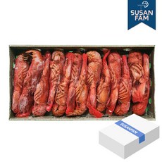 캐나다 자숙 랍스터 4.54kg 약13미(300/350) 바닷가재 랍스타