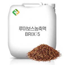 루이보스농축액 5Brix 200g 샘플, 1개