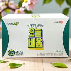 락토조이 오늘비움 유산균음료, 800ml, 1박스