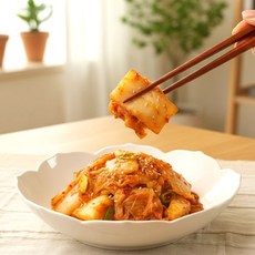 산청원 볶음김치 10kg 수입 식당 대용량 업소용, 1개