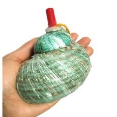 나각 뿔나팔 대형 뿔피리 소라 껍데기 호루라기 뱃고동, 청록색 9-11cm 대형 녹색 달팽이 수