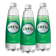 트레비 플레인 탄산수, 500ml, 6개