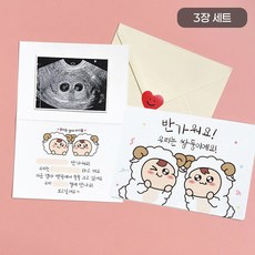 로나파티 임밍아웃 카드 아기 임신 남편 양띠 부모님 서프라이즈 이벤트, 1개, 양띠 쌍둥이 임밍아웃 카드 3장 세트 1개, 양띠 쌍둥이 임밍아웃 카드 3장 세트