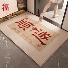 DIU 入戶門地墊新款進門門口防滑腳墊耐髒玄關地毯入戶門墊, 1個, 鴻運-07
