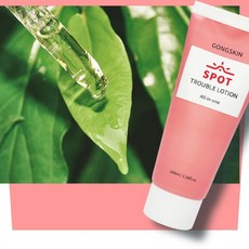 공스킨 병풀추출물 올인원 로션+사은품 소분파우치1p, 3개, 100ml