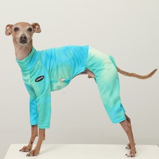 도기스타 이탈리안그레이하운드옷 아이쥐옷 여름 쿨링 올인원, 1개, 민트