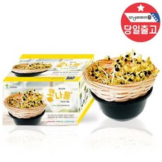 어린이 식물재배 콩나물키우기세트 실내용 학습도구