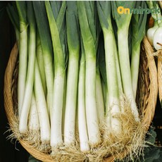 온미락 신안 햇 대파 상품 1kg 2kg 3kg 5kg 10kg 노지 흙대파, 상품 5kg, 1