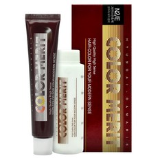 [웰코스] 현대 다마리스 칼라 메리트 1 2제 각 60g 새치, N2-E 자연스런흑색, 1개