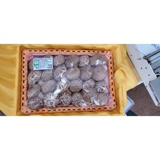 국내산 친환경무농약 송화고 1kg 송정농원, 송화고버섯 VIP 선물세트 1kg (선물포장포함), 1세트