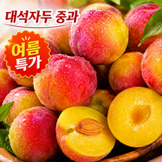 [여름과일] 국내산 노지 햇자두 고당도 제철자두, 1박스, 1kg
