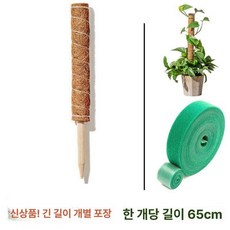 몬스테라 지지대 코코넛봉 코코넛 원예봉 원예용품 만들기, 단일 65cm 밴드, 1개, 1mg