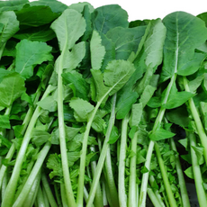 아삭한 맛이 살아있는 신선 열무 600g, 1개