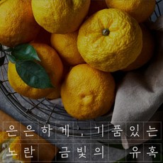 가져유 유자즙 고흥 1kgx2병 생강청 농협 생산 꿀유자차 전통차, 유자차 1kg-2병